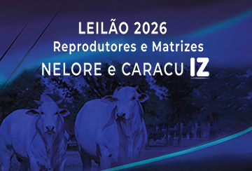 LEILÃO 2026 DE REPRODUTORES E MATRIZES NELORE E CARACU IZ